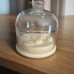 The Bell Jar (No.1) - Image 6