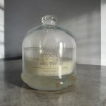 The Bell Jar (No.2 Soy&Gel) - Image 5